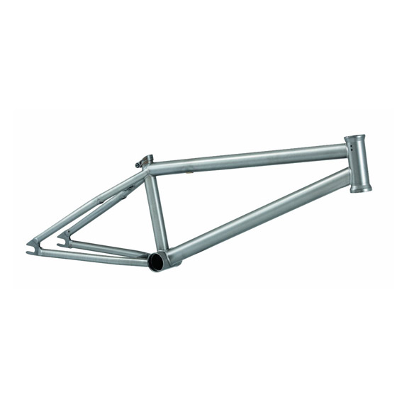 medium image alt text